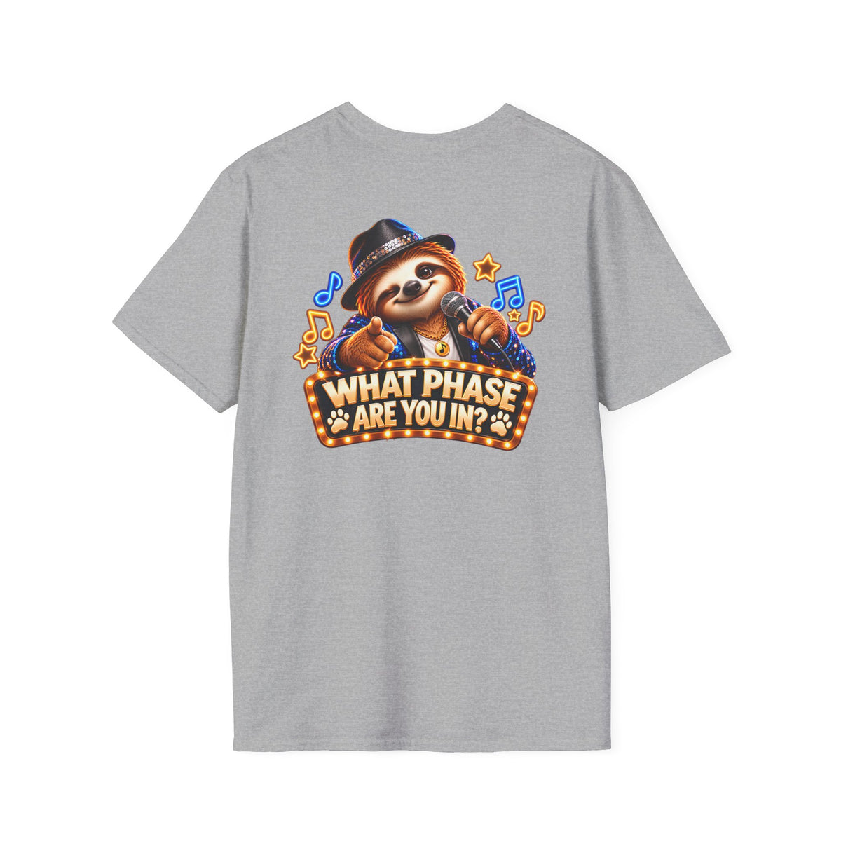 We Are in Our Concert Phase T-Shirt – What Phase Are You In? Music Lover Tee