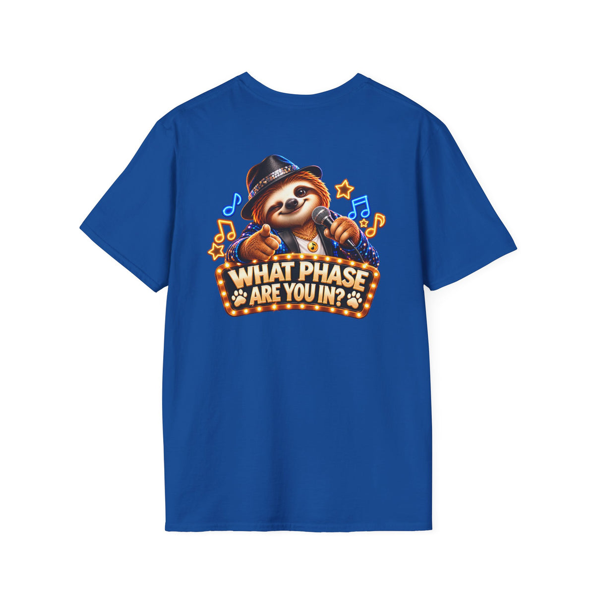 We Are in Our Concert Phase T-Shirt – What Phase Are You In? Music Lover Tee
