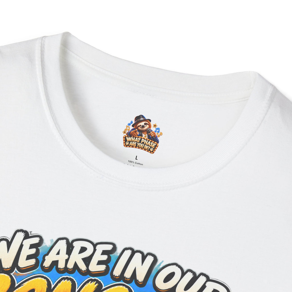 We Are in Our Concert Phase T-Shirt – What Phase Are You In? Music Lover Tee