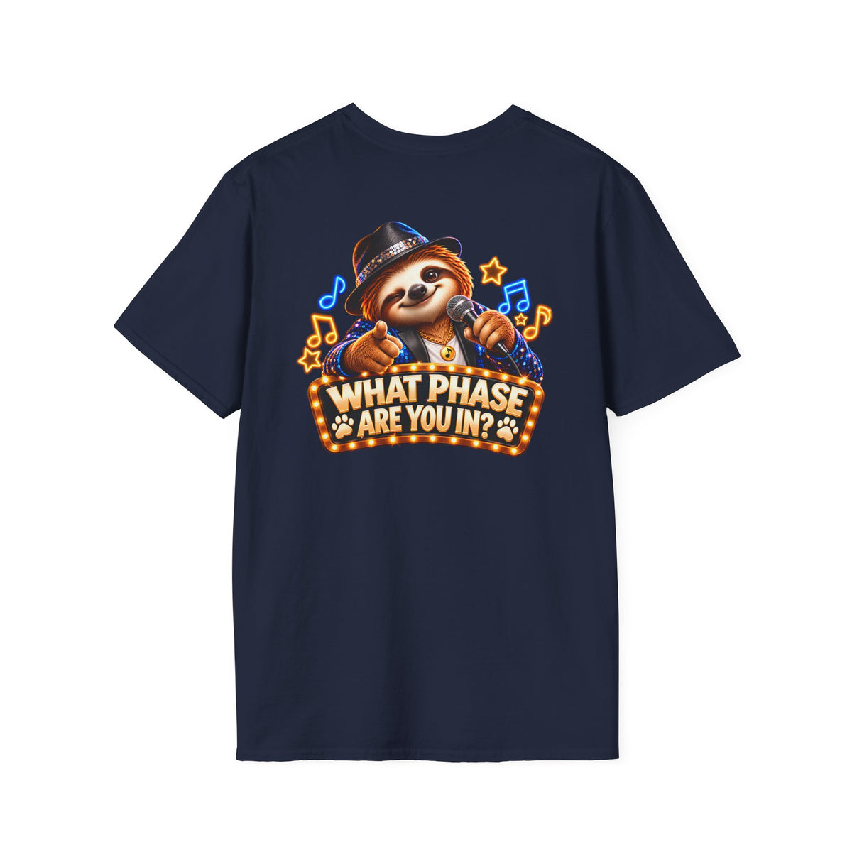 We Are in Our Concert Phase T-Shirt – What Phase Are You In? Music Lover Tee