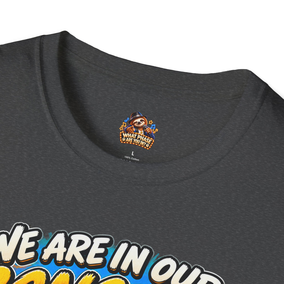 We Are in Our Concert Phase T-Shirt – What Phase Are You In? Music Lover Tee