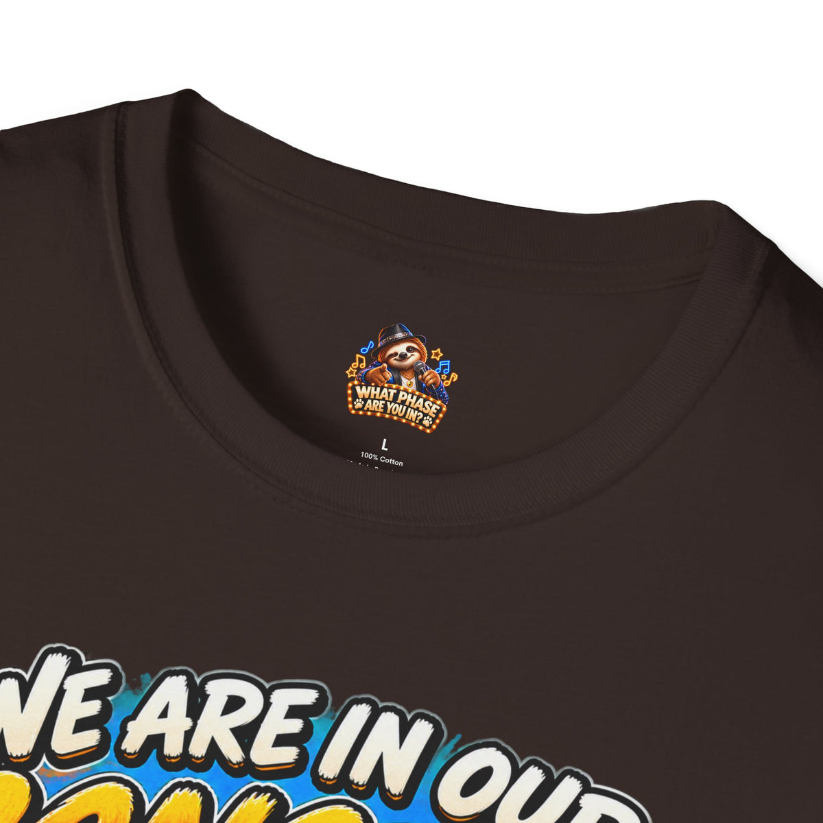 We Are in Our Concert Phase T-Shirt – What Phase Are You In? Music Lover Tee