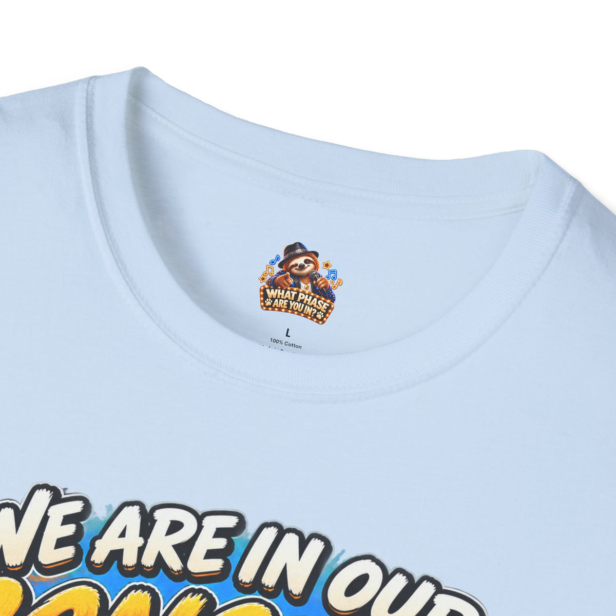 We Are in Our Concert Phase T-Shirt – What Phase Are You In? Music Lover Tee