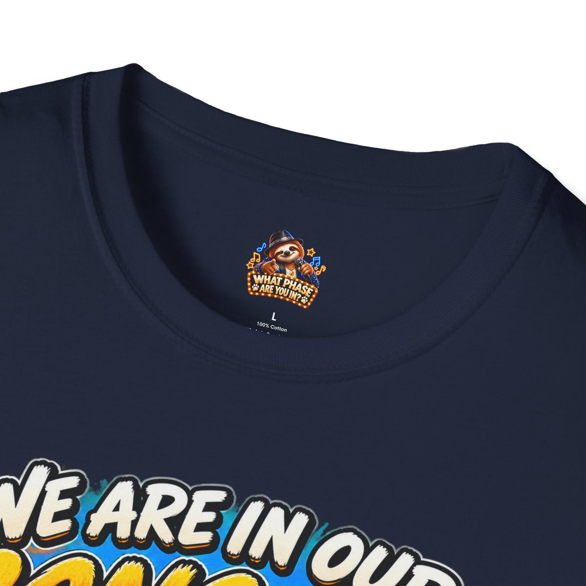 We Are in Our Concert Phase T-Shirt – What Phase Are You In? Music Lover Tee