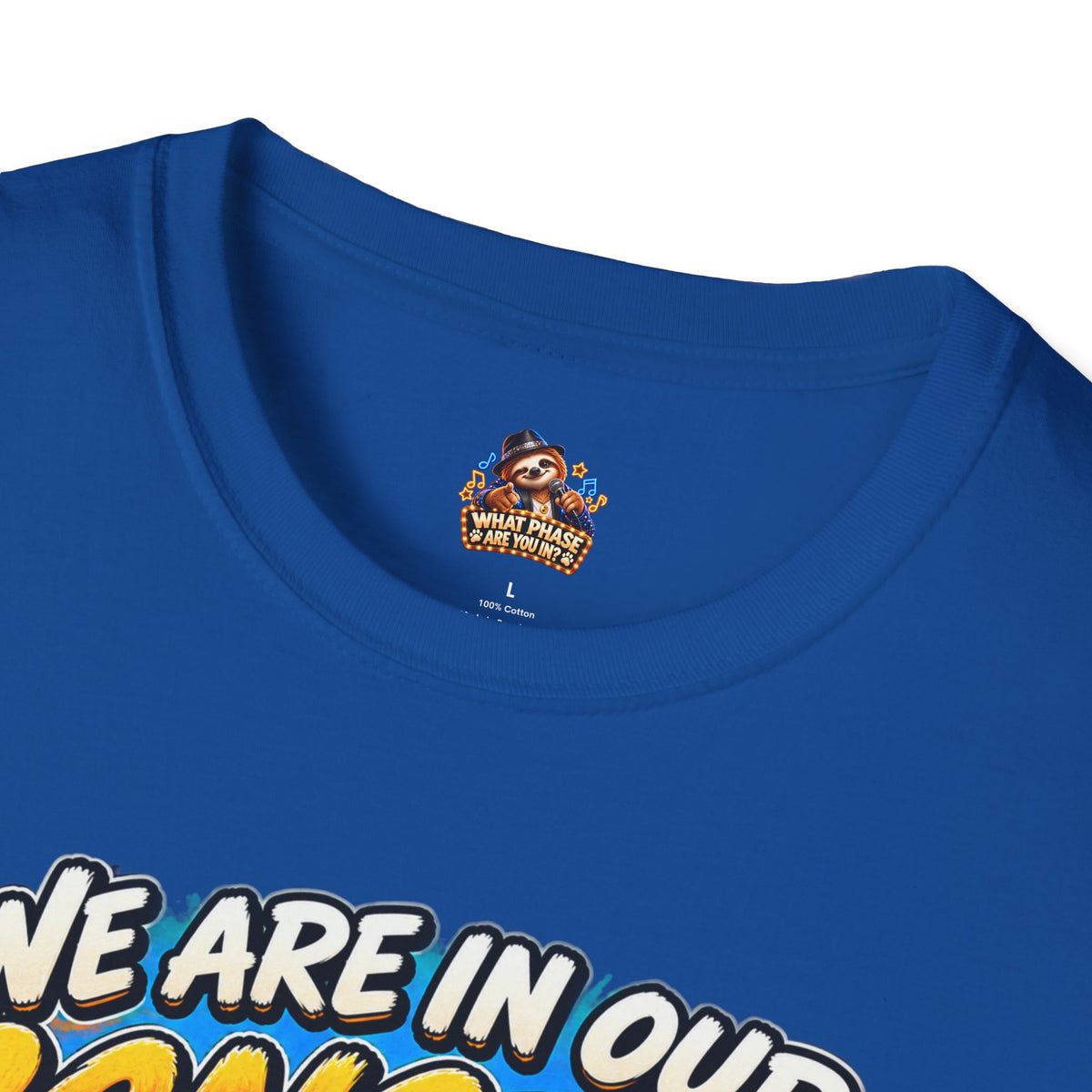 We Are in Our Concert Phase T-Shirt – What Phase Are You In? Music Lover Tee