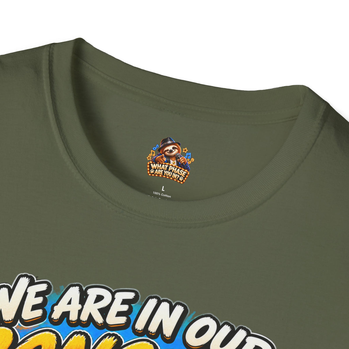 We Are in Our Concert Phase T-Shirt – What Phase Are You In? Music Lover Tee