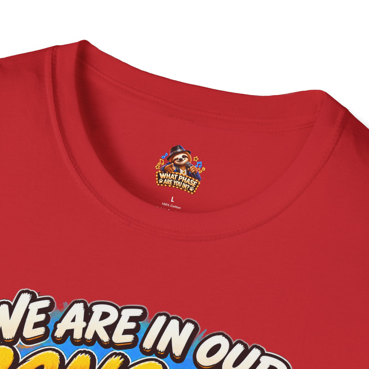 We Are in Our Concert Phase T-Shirt – What Phase Are You In? Music Lover Tee