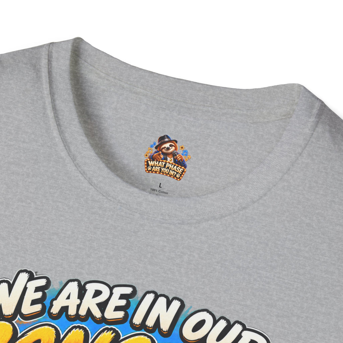 We Are in Our Concert Phase T-Shirt – What Phase Are You In? Music Lover Tee