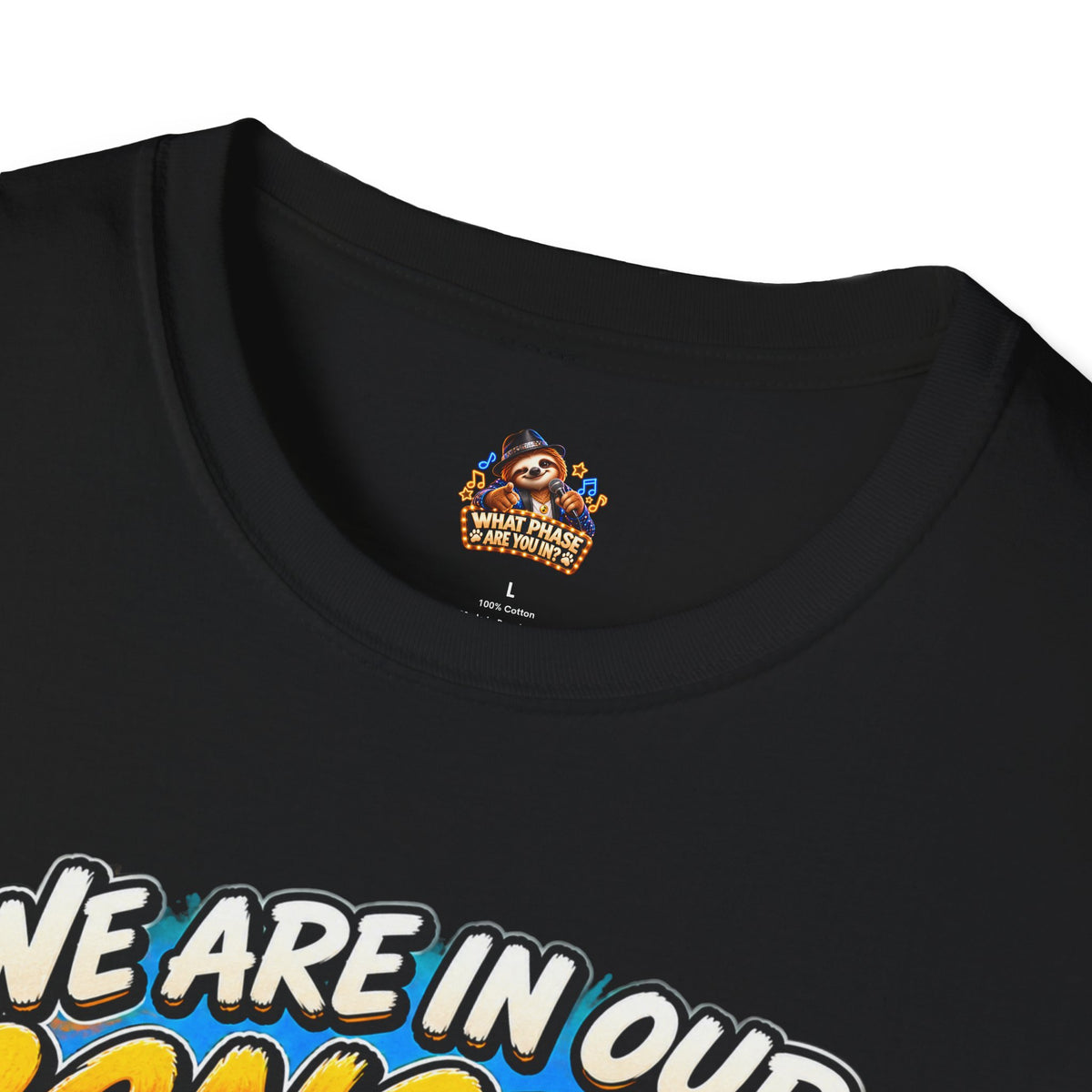We Are in Our Concert Phase T-Shirt – What Phase Are You In? Music Lover Tee